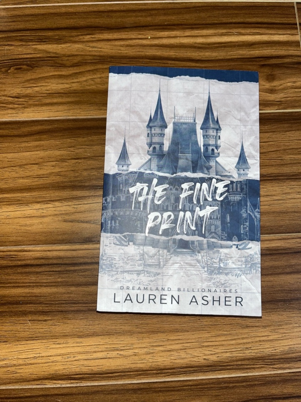 The Fine Print by Lauren Asher - Blue & White Paperback